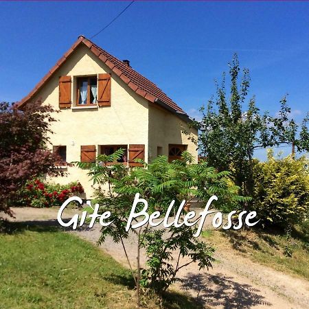 Maison Independante De Montagne En Alsace Bellefosse Kültér fotó