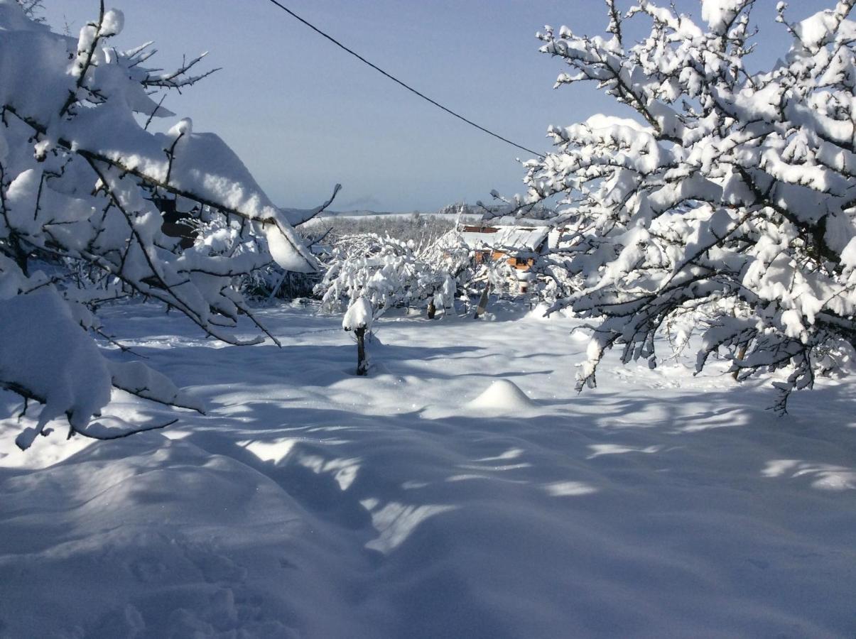Maison Independante De Montagne En Alsace Bellefosse Kültér fotó
