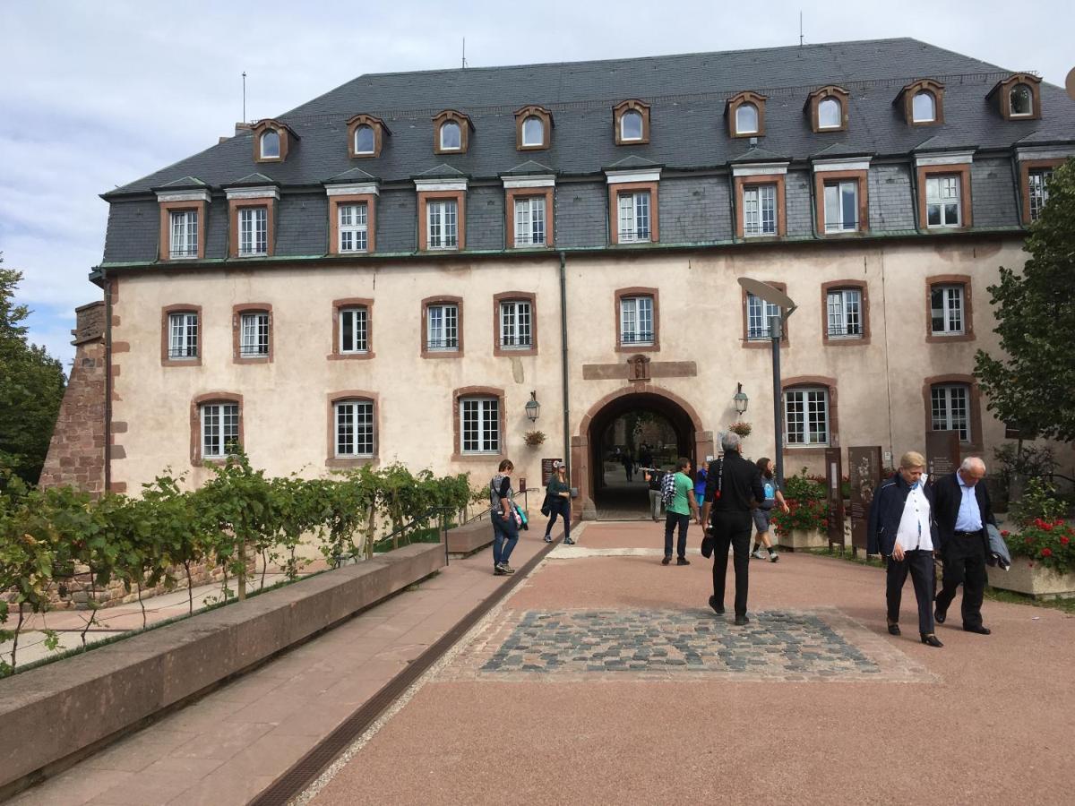 Maison Independante De Montagne En Alsace Bellefosse Kültér fotó