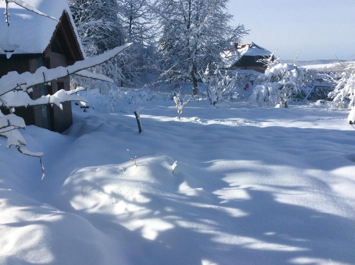 Maison Independante De Montagne En Alsace Bellefosse Kültér fotó