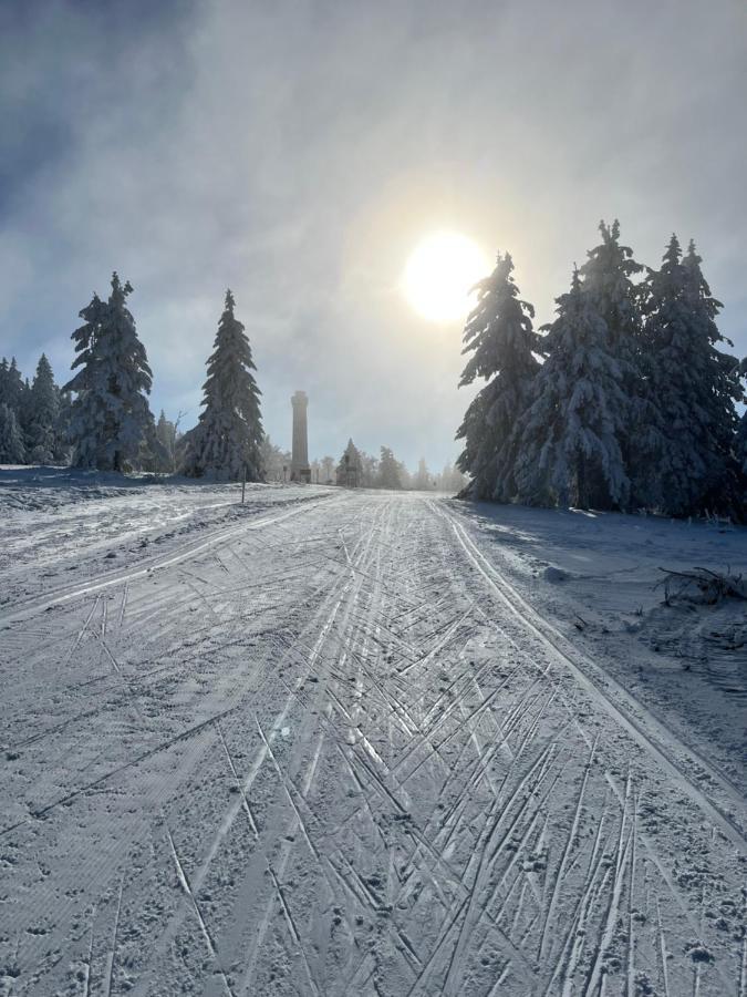 Maison Independante De Montagne En Alsace Bellefosse Kültér fotó