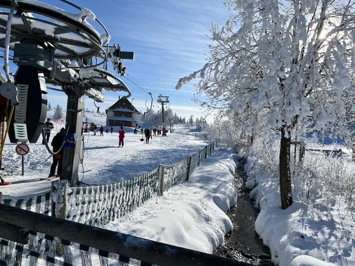 Maison Independante De Montagne En Alsace Bellefosse Kültér fotó