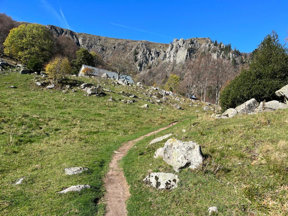 Maison Independante De Montagne En Alsace Bellefosse Kültér fotó