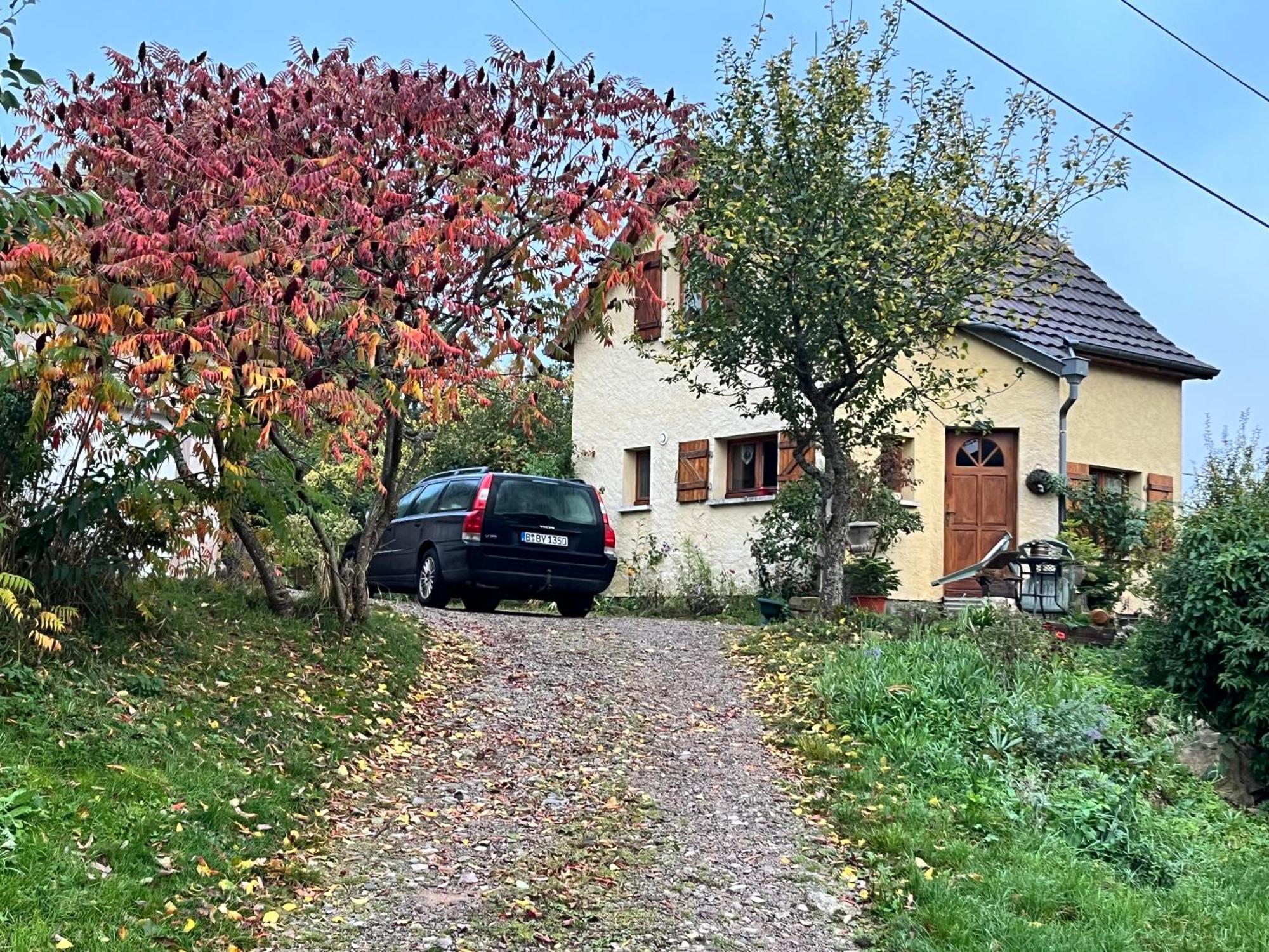 Maison Independante De Montagne En Alsace Bellefosse Kültér fotó