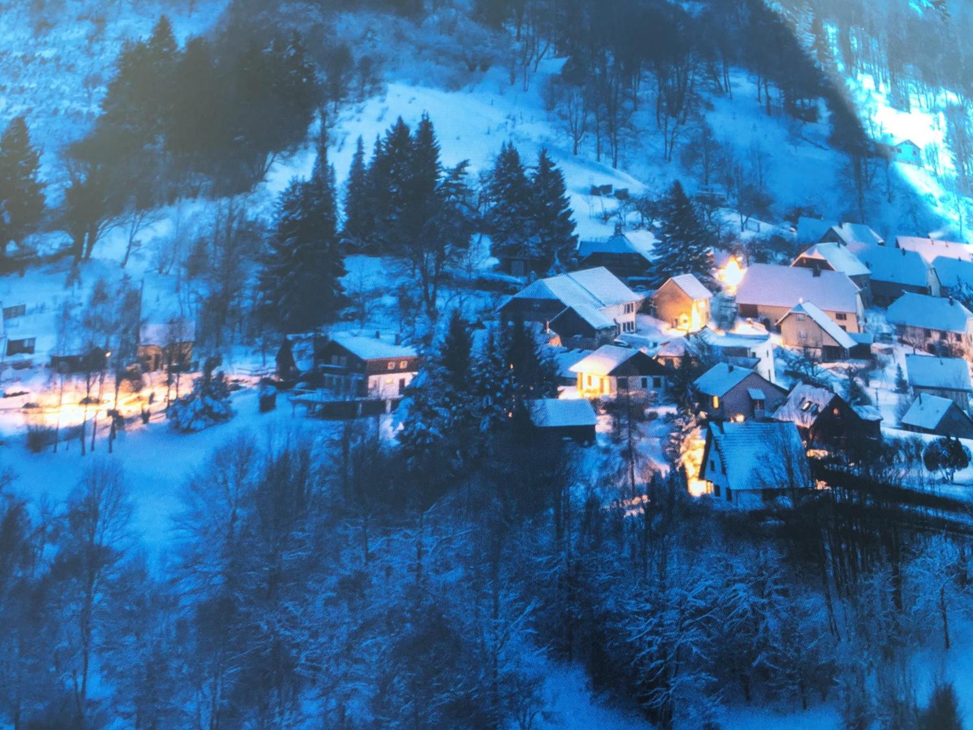 Maison Independante De Montagne En Alsace Bellefosse Kültér fotó