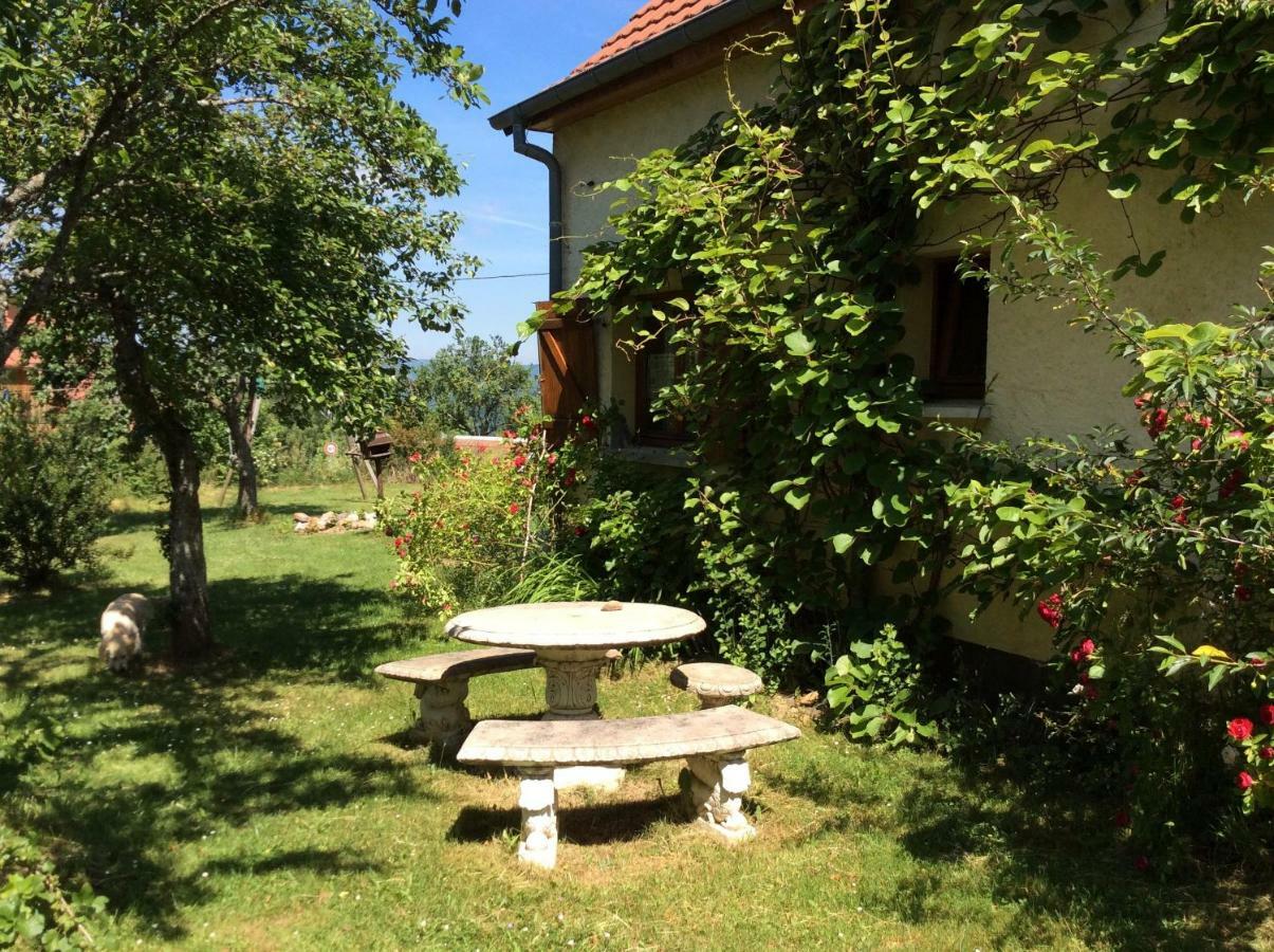 Maison Independante De Montagne En Alsace Bellefosse Kültér fotó