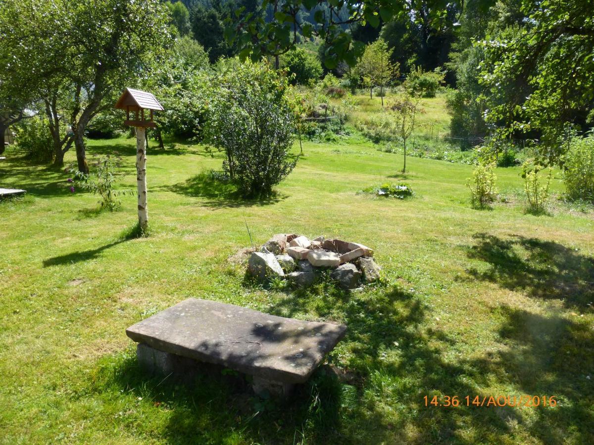 Maison Independante De Montagne En Alsace Bellefosse Kültér fotó