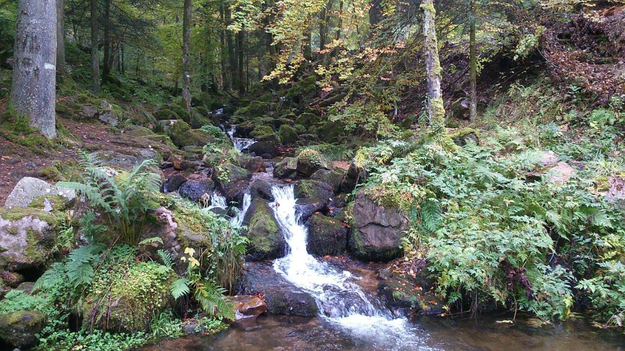 Maison Independante De Montagne En Alsace Bellefosse Kültér fotó
