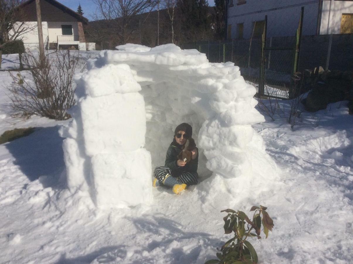 Maison Independante De Montagne En Alsace Bellefosse Kültér fotó
